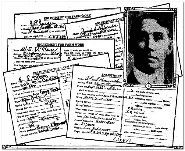 oregonian-newspaper-0714-1918-portland-farm-work-records illustration of farm work enlistment cards, Oregonian newspaper article 14 July 1918