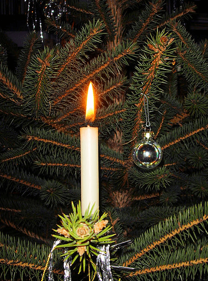 photo-1219-2014-candle-christmas-tree photo of a candle on a Christmas tree