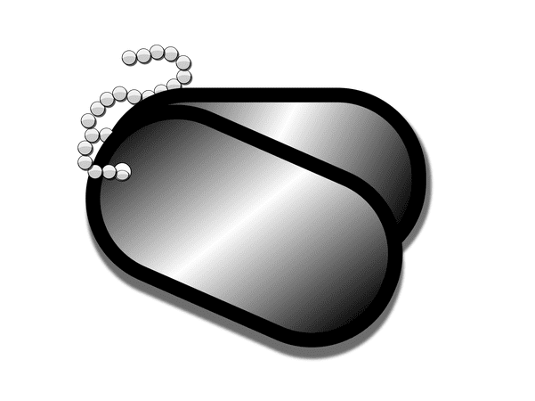 illustration: military dog tags