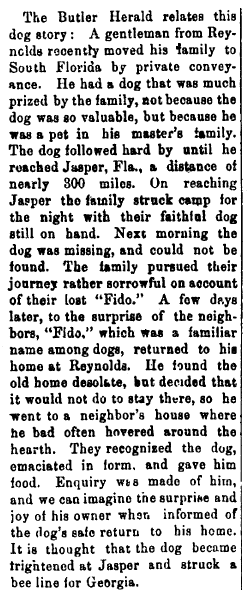 article about a dog named Fido, Marietta Journal newspaper article 9 November 1893
