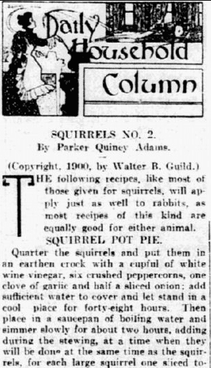 squirrel recipes, Philadelphia Inquirer newspaper article 31 July 1900