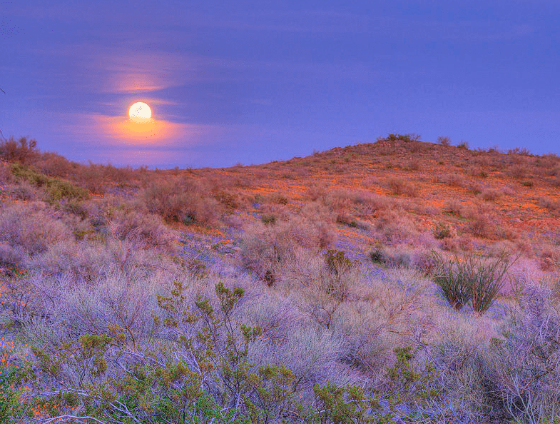 Photo: moonrise over San Carlos Apache Indian Reservation, Arizona