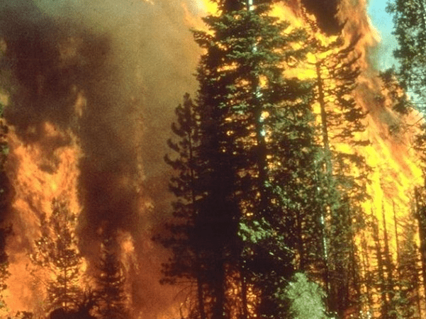 Photo: a California wildfire, 5 September 2008. Credit: Bureau of Land Management; Wikimedia Commons.