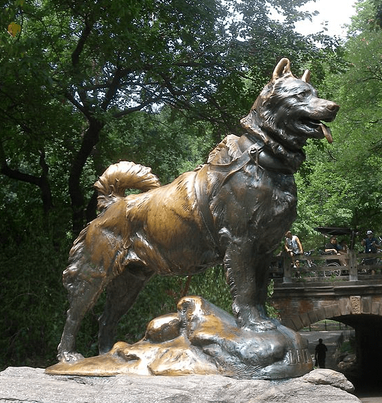 Photo: statue of Balto, the lead dog on the last relay team in 1925