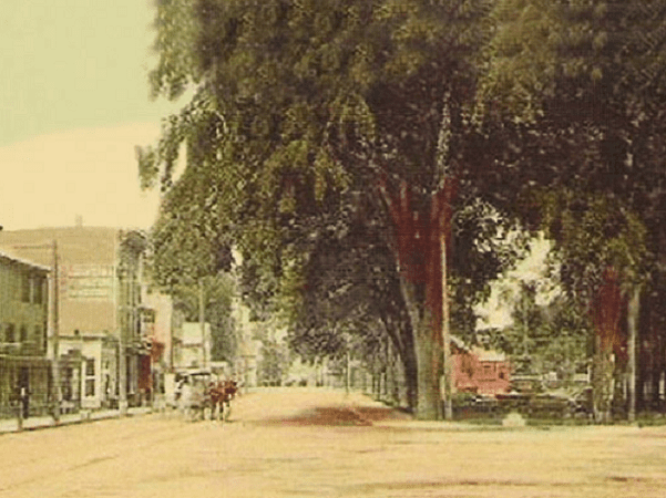 Photo: view of West Park (now Columbus Park) in downtown Stamford, Connecticut, from a 1906 postcard. Credit: Wikimedia Commons.