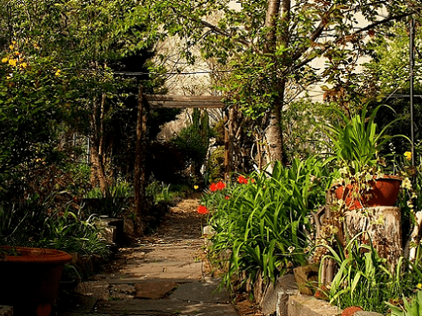 Photo: the 9th Street Community Garden Park, New York City. Source: Yelp.