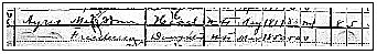 1900 Census listing for Ann (Ford) Ayres