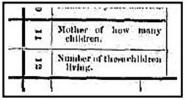 1900 Census listing for Ann (Ford) Ayres