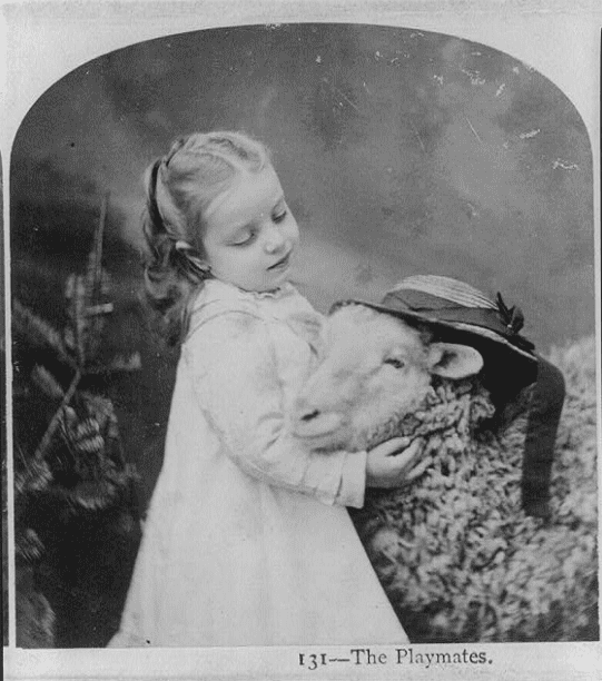Photo: a little girl with a lamb