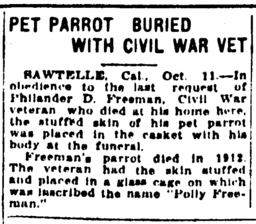 An article about Philander Freeman, Tulsa Daily World newspaper 12 October 1919