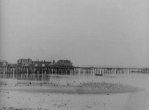 “Provincetown Pier & Gulls, Massachusetts” by Carl Van Vechten, 1936. Credit: Library of Congress, Prints and Photographs Division.