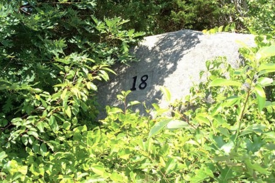 Photo: cellar no. 18 in Dogtown, Massachusetts. Credit: Kurt Eddy of North Shore Community College.