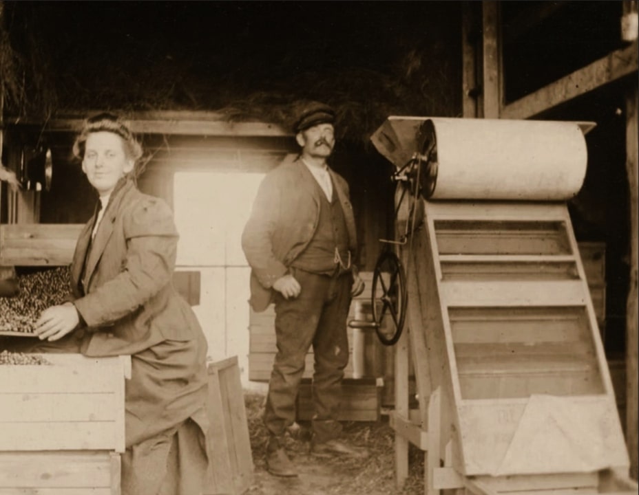 Photo: Josephine and Abel Makepeace working at their cranberry farm. Credit: Katie Crocker.