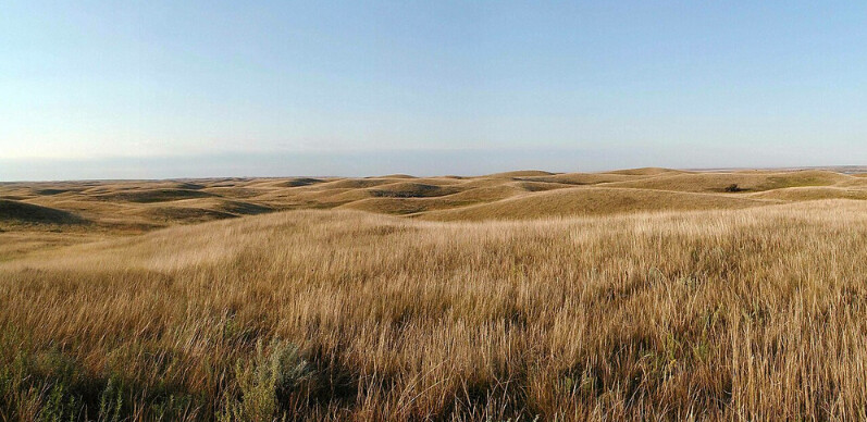 Photo: North Dakota Native Prairie. Credit: Rick Bohn/USFWS; Wikimedia Commons.